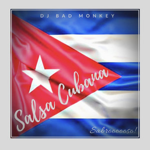 dj bad monkey - Salsa Cubana