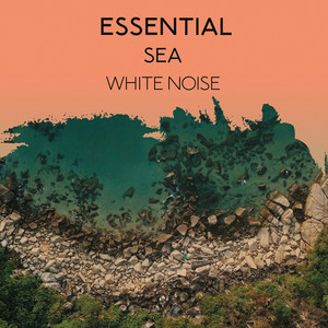 zZz Essential Sea White Noise zZz album