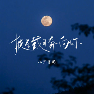 披星戴月奔向你 by 小只芋泥