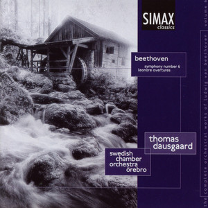 Symphony No. 6 in F Major, Op. 68 "Pastoral": III. Allegro