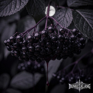 Schwarzer Holunder by Dunkelklang