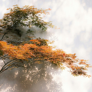 Covered by Artur Deken