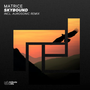 Skybound - Aurosonic Remix by Matrice, Aurosonic