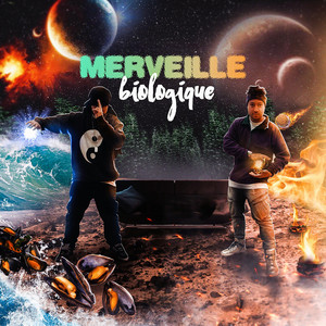Q.Q.L.V. by Merveille Biologique