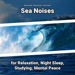#01 Sea Noises for Relaxation, Night Sleep, Studying, Mental Peace album