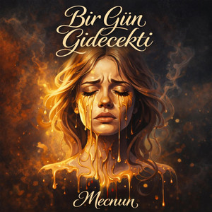 Bir Gün Gidecekti
