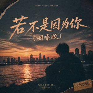 若不是因为你(烟嗓版) by 野生分贝
