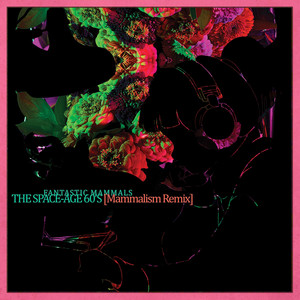 The Space Age 60's (Mammalism Remix)