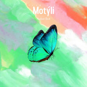 Motýli by Madson Real