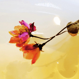 figmurs - Quiet Pulse