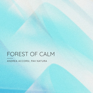 Forest of Calm by Andrea Accorsi, Pax Natura