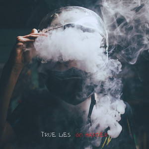 True Lies by Go Harder
