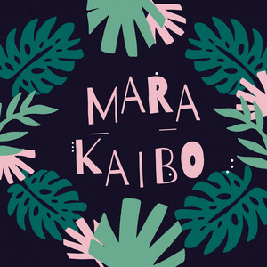 Dj Monst3r5 - Marakaibo