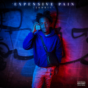 Expensive pain by 556Bricc