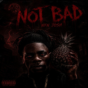 Not bad by NFN josh