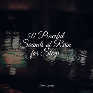 50 Loopable Rain Sounds for Sleep and Relaxation album