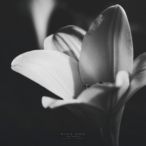 The Quiet by Nico Ono