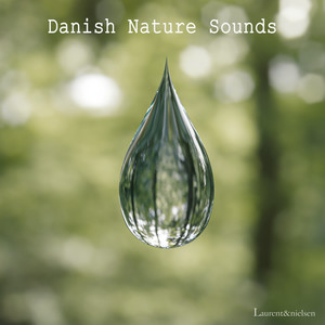 Rain nature sound (Laurent & Nielsen home, Denmark) by Laurent & Nielsen