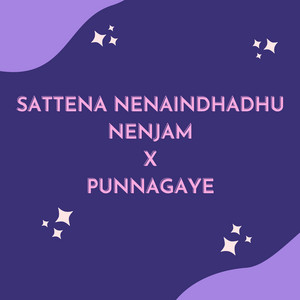 Ahmed Meeran - Sattena Nenaindhadhu Nenjam X Punnagaye