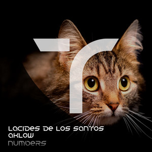 NUMBERS - Original Mix by Lacides De Los Santos, Aklow