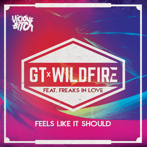 Feels Like It Should - Alex Preston Remix by GT, Wildfire, Freaks In Love, Groove Terminator, Alex Preston