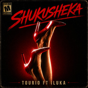 SHUKUSHEKA by Tourio, Iluka