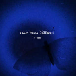 I Dont Wanna (氛围beat) by PPR