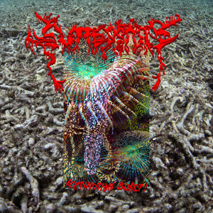 album cover: Extinction Burst!