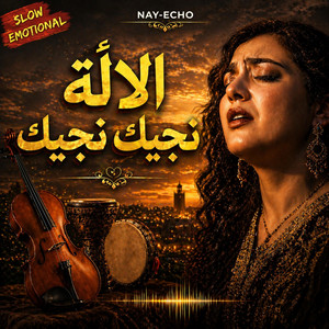 Alla Njik Njik | الالة نجيك نجيك by Nay Echo