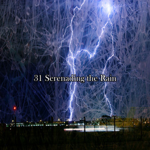 31 Serenading the Rain album