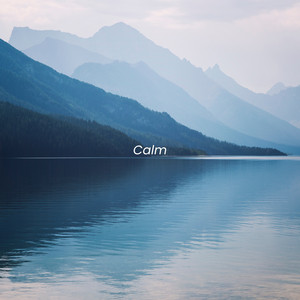 Calm by Florin Roi