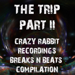 Mental - DJ Purple Rabbit Breakbeat Remix by Skip, Dj Purple Rabbit