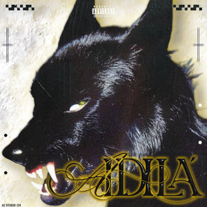 Portada de Aldilà