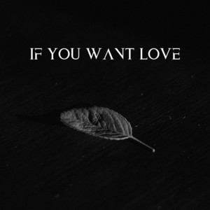 If You Want Love