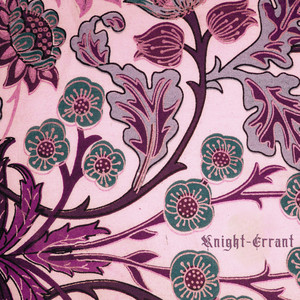 I. How the Knight-Errant Began to Wander by Knight-Errant