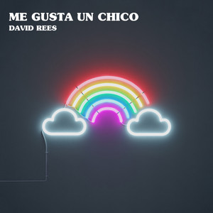 Me gusta un chico by David Rees