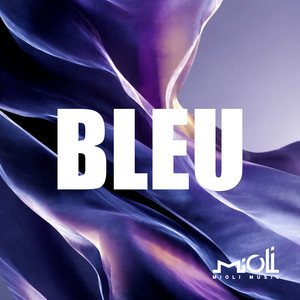 Bleu cover art