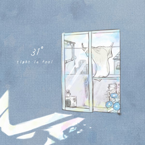31° by tight le fool
