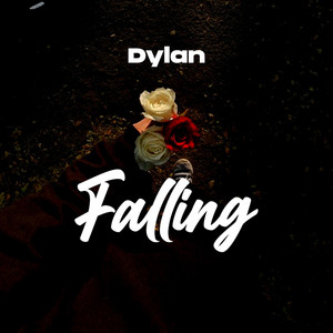 Dylan tz - Falling