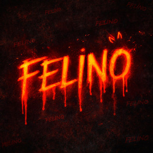 Felino by Bruce Music