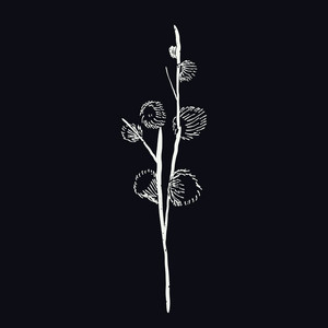月蓑 by Seiko