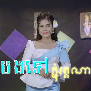ចែម ស្រីលក្ខ - បងទៅភ្ជុំវត្តណា