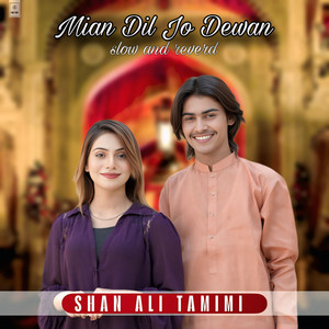 Shan Ali Tamimi - Mian Dil Jo Dewan (Slow and Reverb)