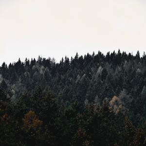30 Ambient Nature Rain Sounds for Sleep and Serenity album