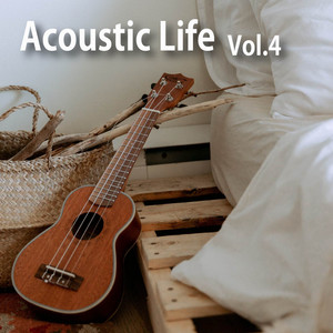 2strings - Tori No Koe (Acoustic Backing, Mandolin Solo Version)