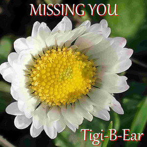 Missing You by Tigi-B-Ear