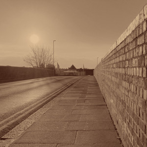 The Avenue