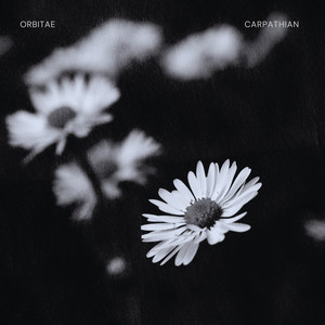 Carpathian by Orbitae