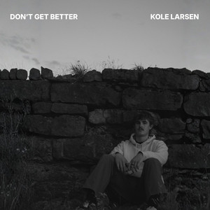 Don't Get Better by Kole Larsen