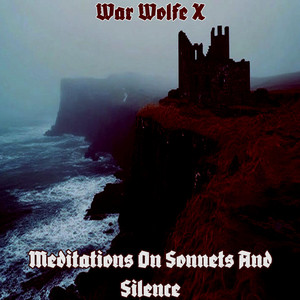 Meditations On Sonnets And Silence